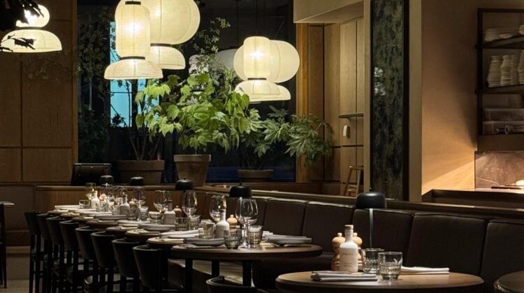 Restaurant culi amsterdams italiaans parmezaan spring cafe brasserie