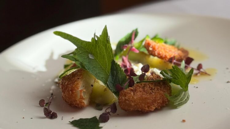 contra restaurant cafe amsterdam jazz